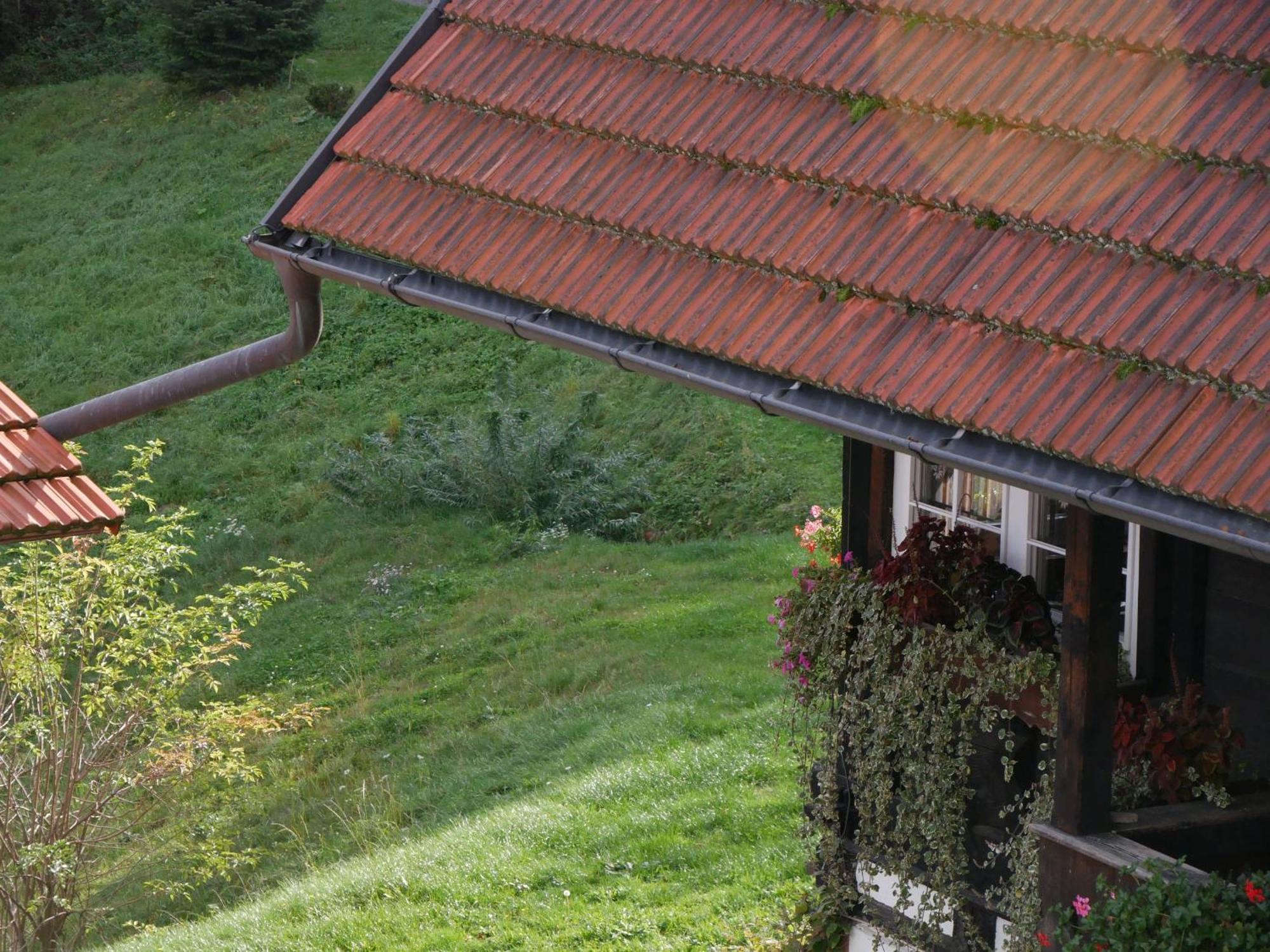 Вилла Schwarzwald Buchenhof Целль-ам-Хармерсбах Экстерьер фото