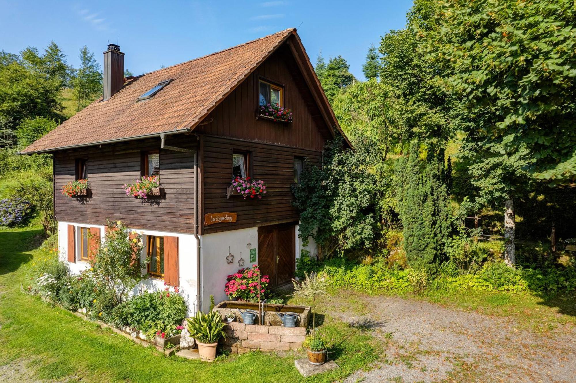 Вилла Schwarzwald Buchenhof Целль-ам-Хармерсбах Экстерьер фото